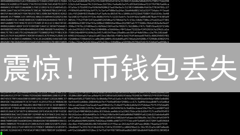 震惊！币钱包丢失？你绝对要知道的终极找回秘籍！