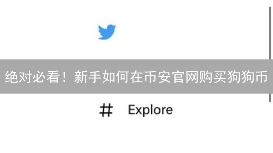 绝对必看！新手如何在币安官网购买狗狗币？详细操作指南