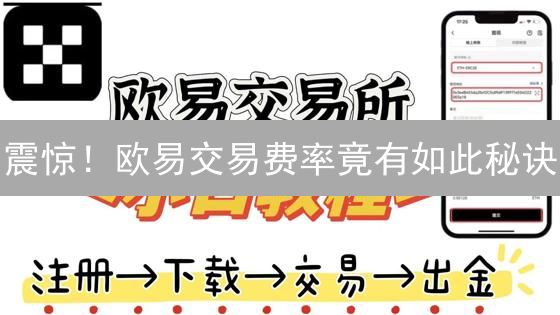 震惊！欧易交易费率竟有如此秘诀？降低成本必看！