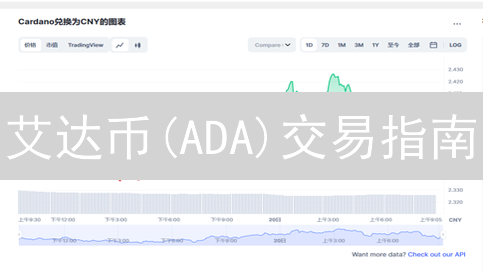 艾达币(ADA)交易指南：2024 年 Bybit vs 火币，哪家更胜一筹？