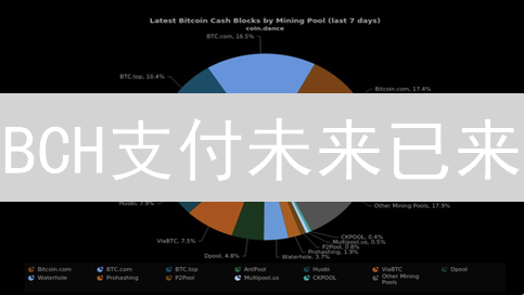 BCH支付未来已来？一文看懂比特币现金的优势与应用！