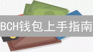 BCH钱包上手指南：像存黄金一样安全！