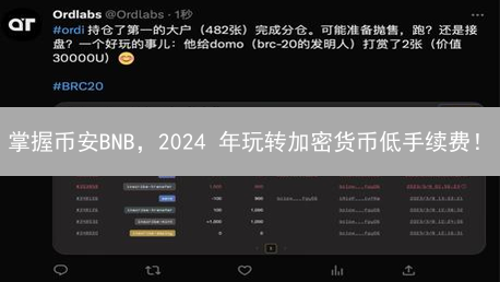 掌握币安BNB，2024 年玩转加密货币低手续费！