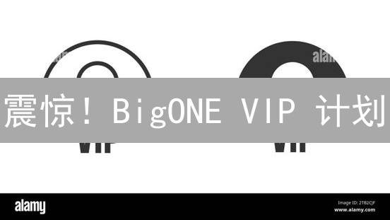 震惊！BigONE VIP 计划：解锁你的交易特权 (快速升级攻略)