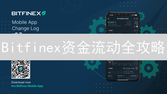 Bitfinex资金流动全攻略：像侦探一样追踪你的数字资产，绝对必看！