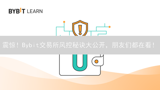 震惊！Bybit交易所风控秘诀大公开，朋友们都在看！