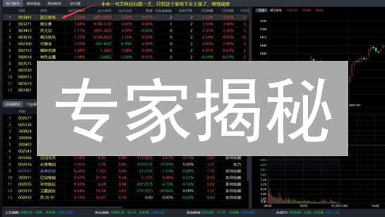 专家揭秘：Bybit 止损止盈高级技巧，有效控制风险！