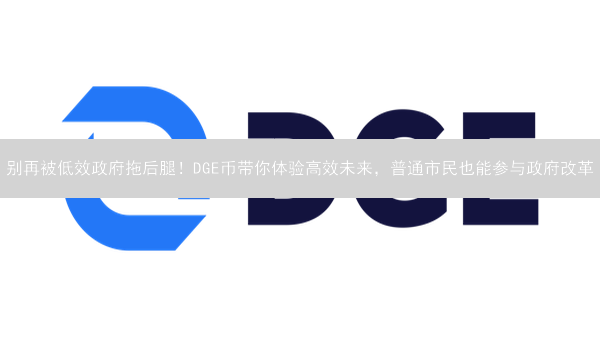 别再被低效政府拖后腿！DGE币带你体验高效未来，普通市民也能参与政府改革？