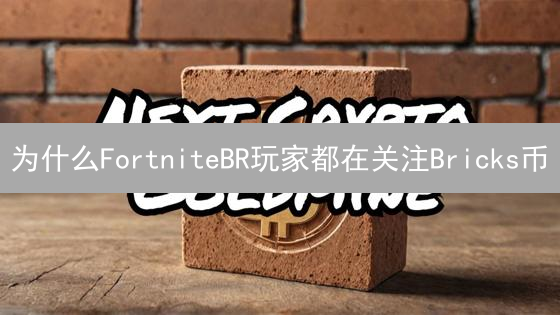 为什么FortniteBR玩家都在关注Bricks币？99%的人不知道的秘密！