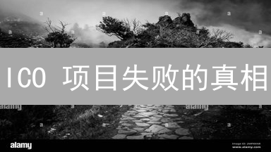 ICO 项目失败的真相：币安筛选标准，99% 的项目都忽略了这点！
