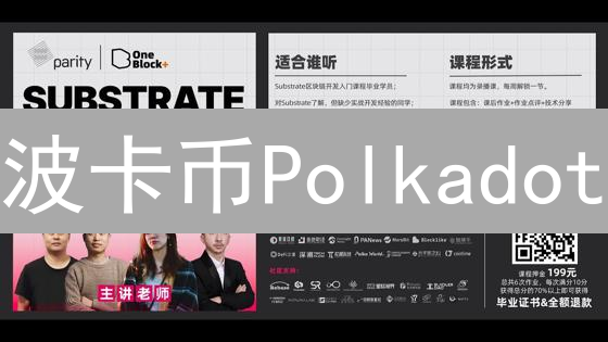 波卡币Polkadot：区块链领域的马拉松，稳健前行之路