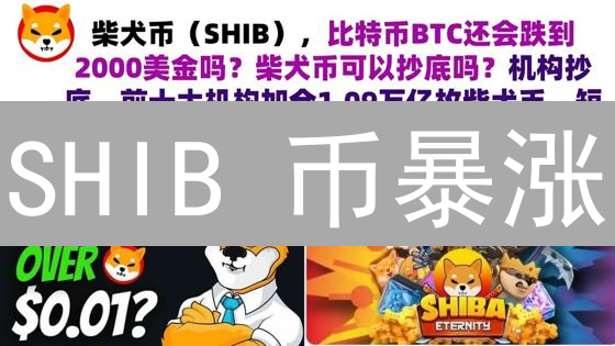 SHIB 币暴涨？2024 年 Bithumb 上架，抓住这波柴犬币浪潮！