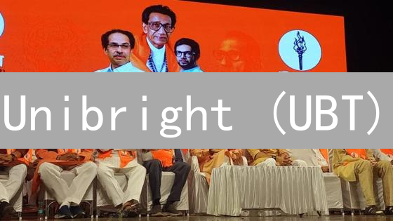 Unibright (UBT)：2024 年企业区块链的入场券？价值分析与风险评估