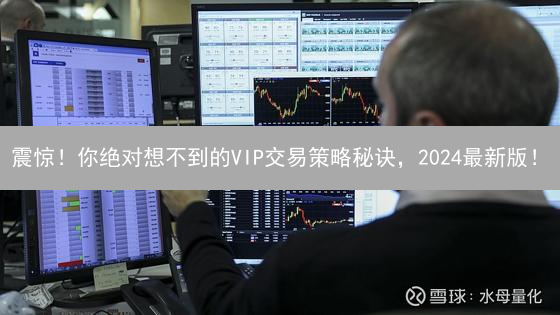 震惊！你绝对想不到的VIP交易策略秘诀，2024最新版！