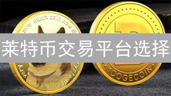 莱特币交易平台选择：火币 vs Kraken，哪个更适合你？
